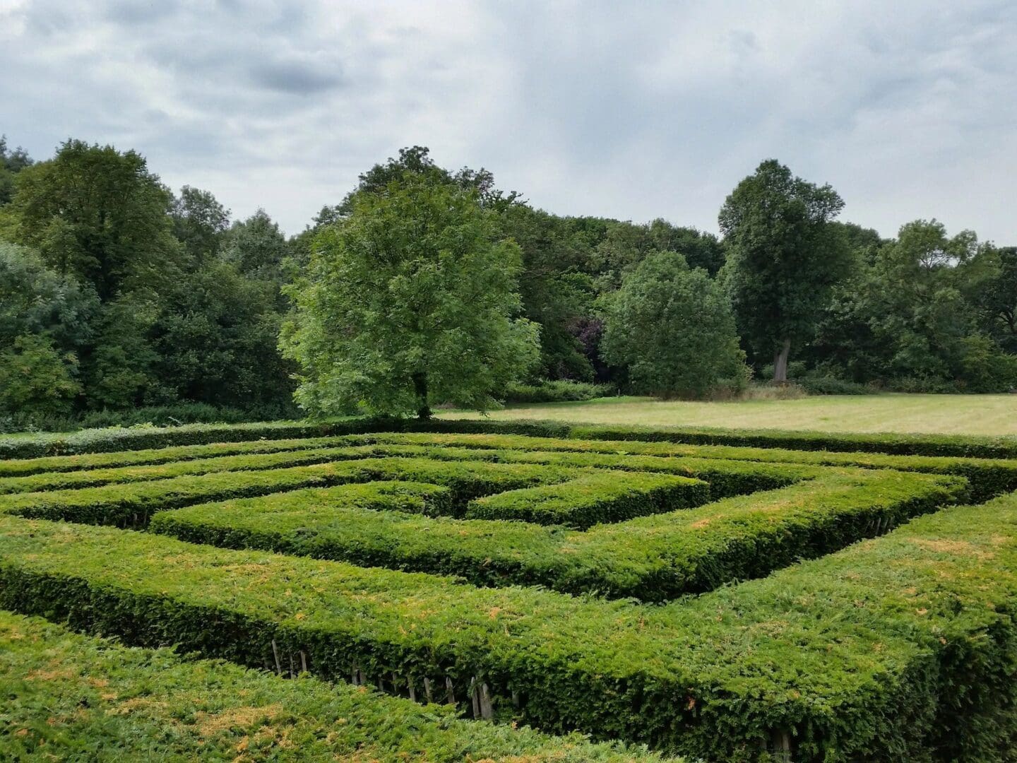 A large green maze in the middle of a field.